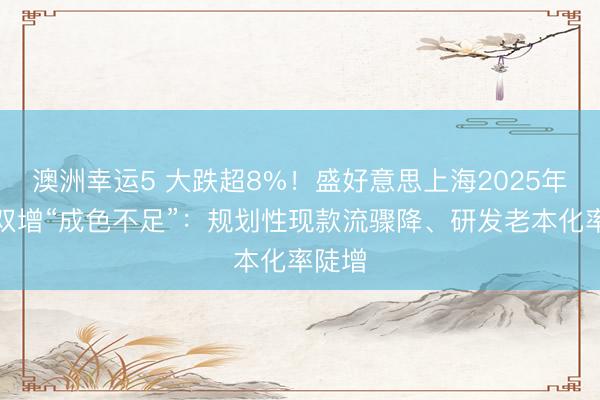 澳洲幸運(yùn)5 大跌超8%！盛好意思上海2025年牟利雙增“成色不足”：規(guī)劃性現(xiàn)款流驟降、研發(fā)老本化率陡增